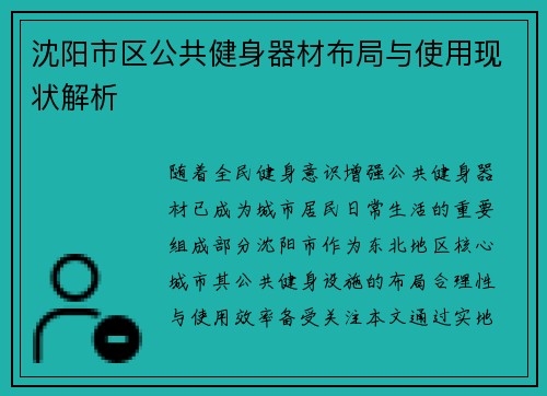沈阳市区公共健身器材布局与使用现状解析